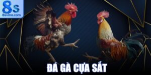 Đá Gà Cựa Sắt